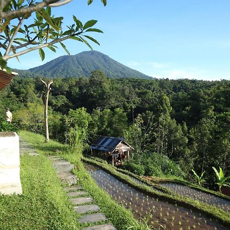 Villa Padi Bali Jatiluwih Selemadeg Exterior foto