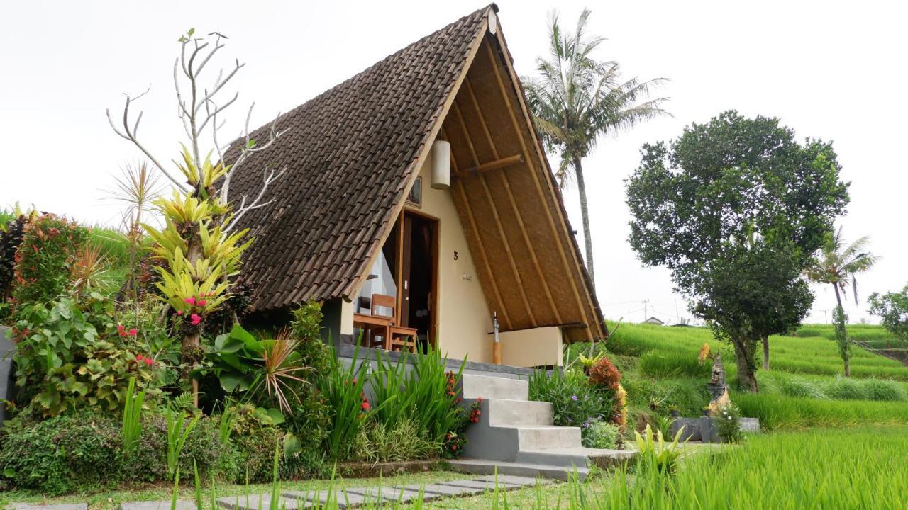 Villa Padi Bali Jatiluwih Selemadeg Exterior foto