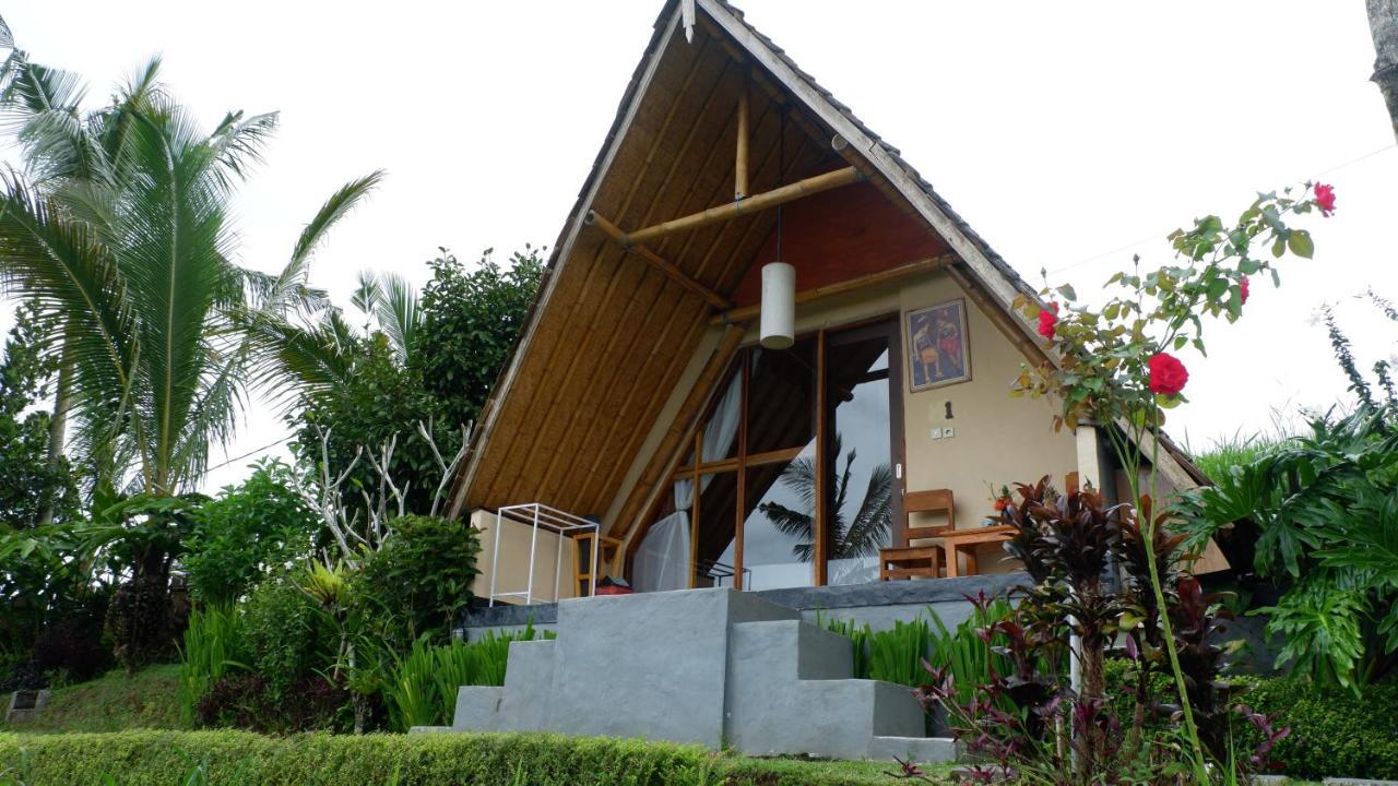 Villa Padi Bali Jatiluwih Selemadeg Exterior foto