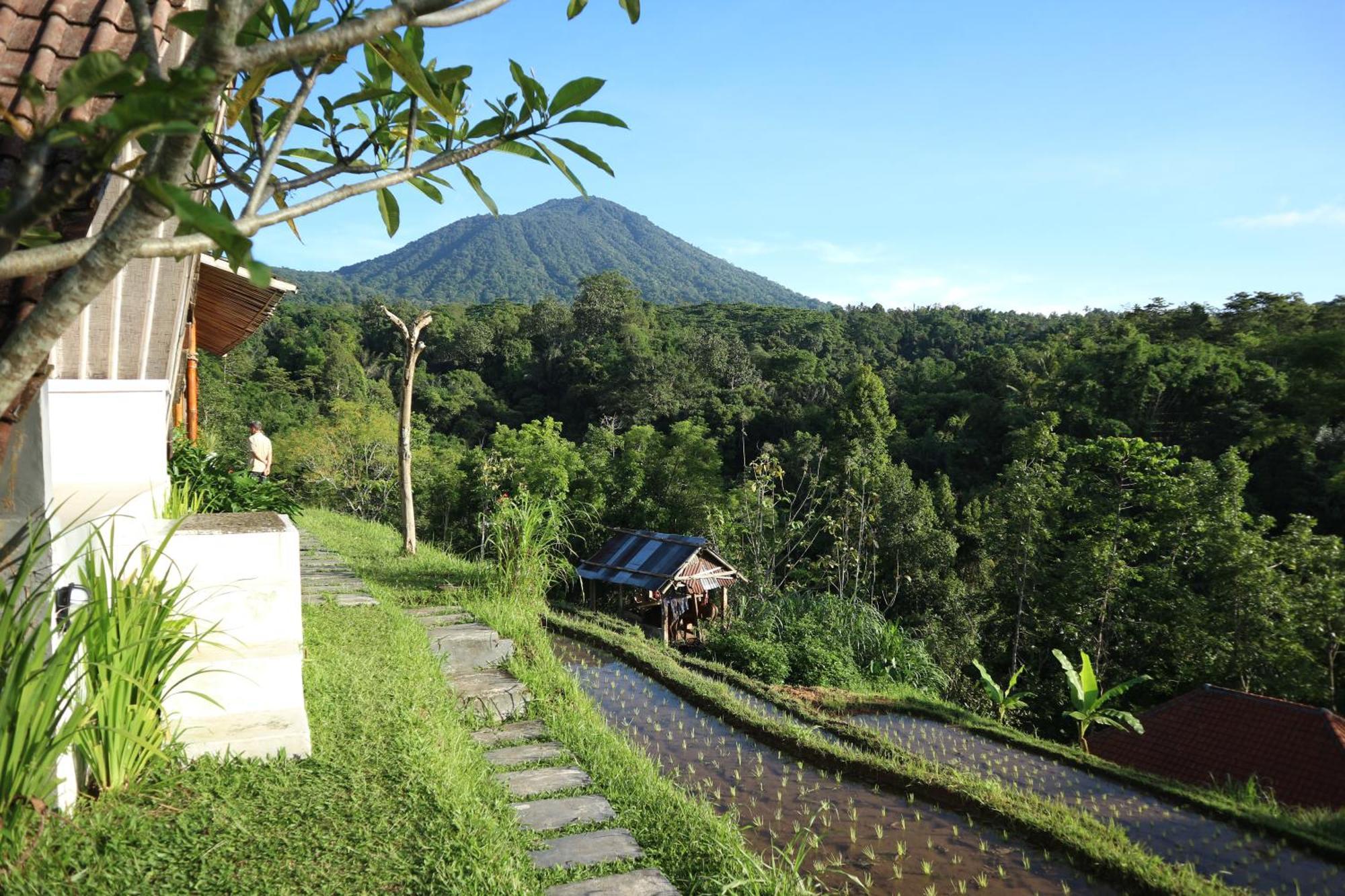 Villa Padi Bali Jatiluwih Selemadeg Exterior foto