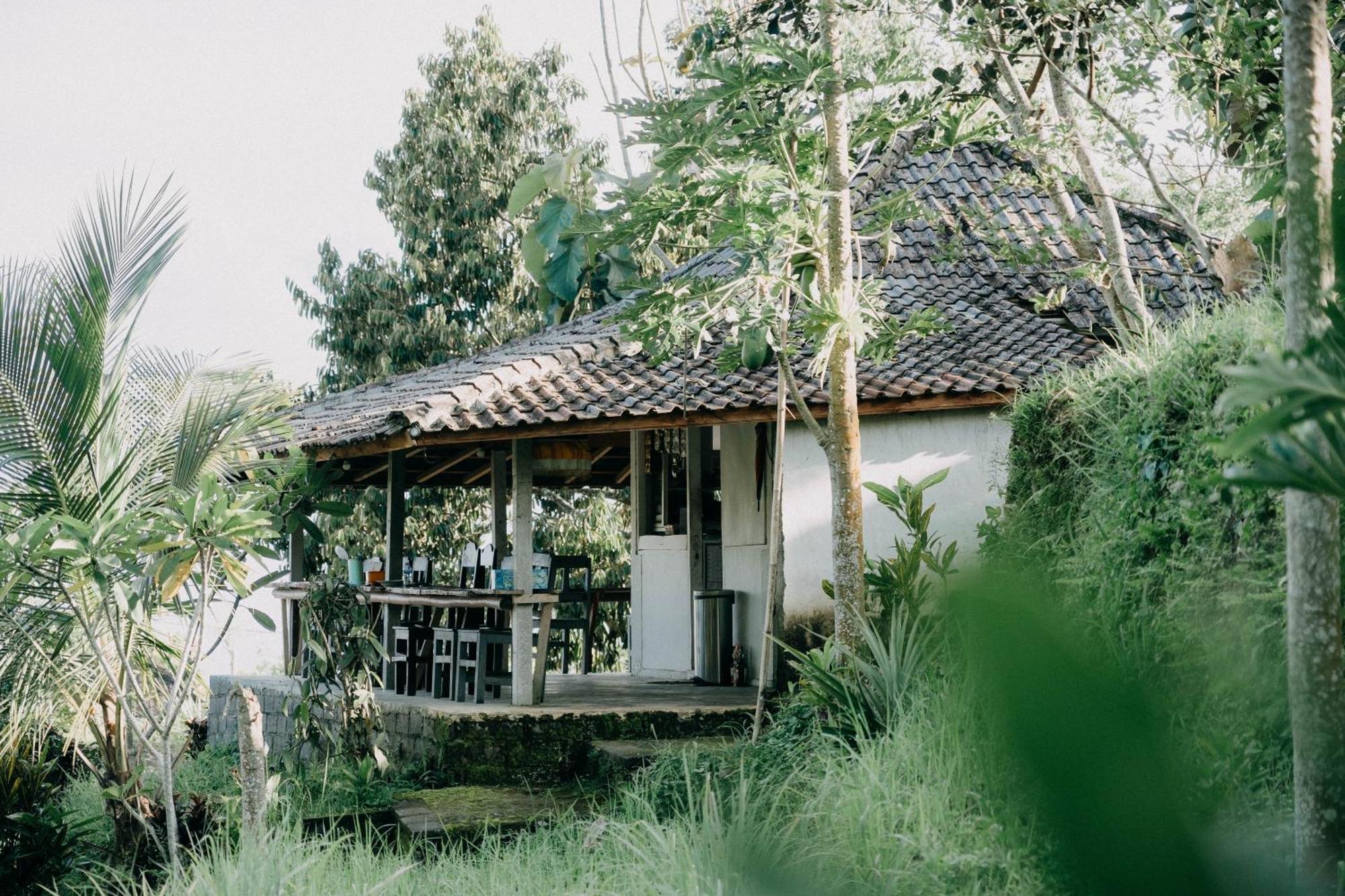 Villa Padi Bali Jatiluwih Selemadeg Exterior foto