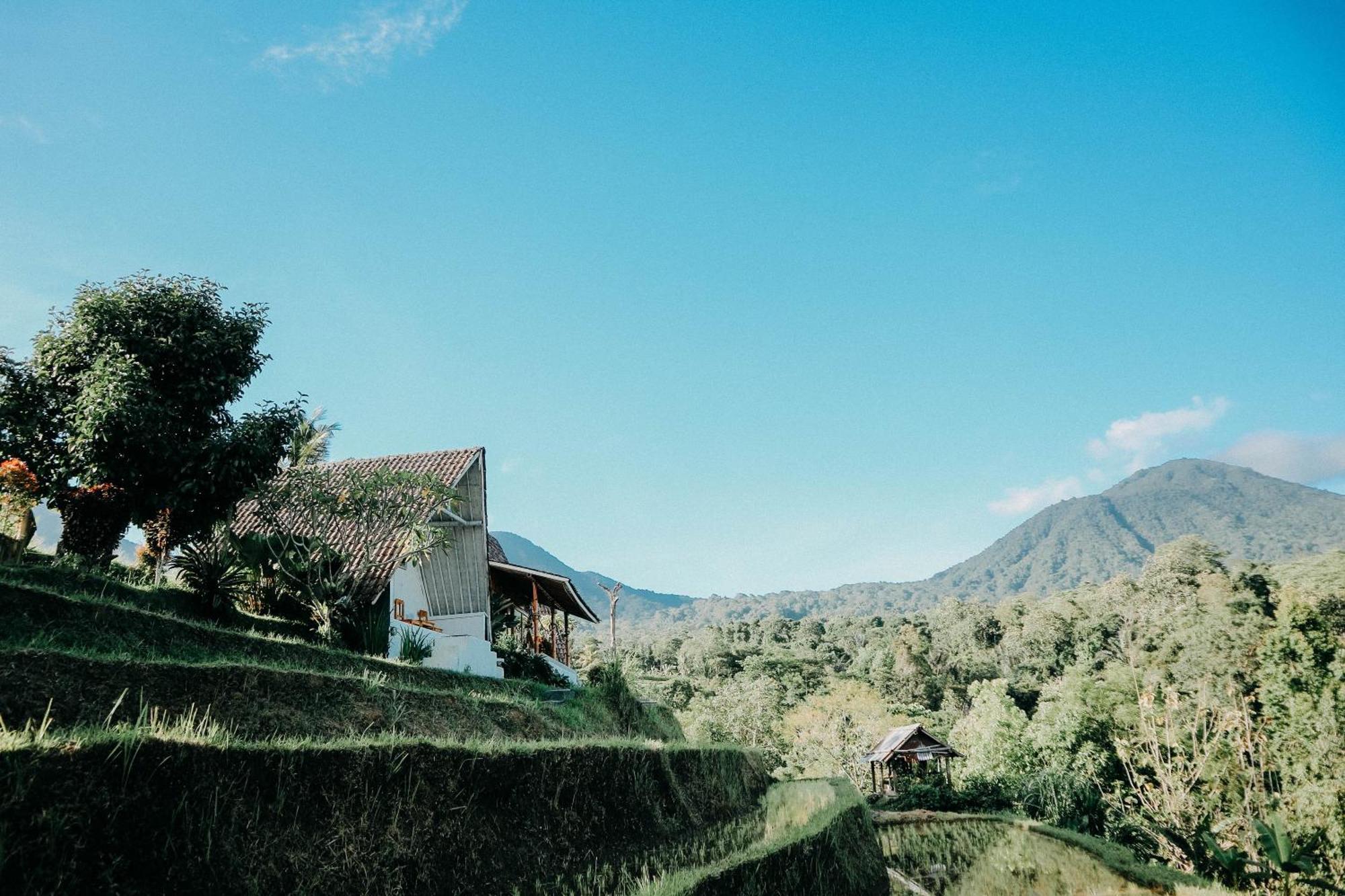 Villa Padi Bali Jatiluwih Selemadeg Exterior foto
