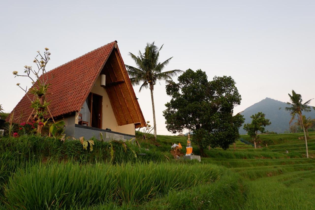 Villa Padi Bali Jatiluwih Selemadeg Exterior foto